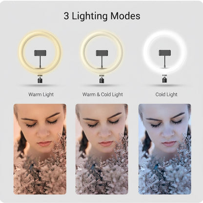 12" ringh light